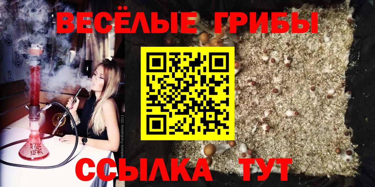 Галлюциногенные грибы MAGIC MUSHROOMS Моздок